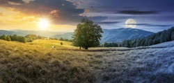 day and night time change concept above the beech tree on the meadow in mountains. landscape with sun and moon. wonderful summer scenery of carpathian countryside. mountain ridge in the distance.
