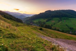 rural valley of carpathian mountains at dawn. wonderful summer scenery with grass and herbs on the fields and meadows, forested slopes and hills in morning light