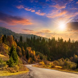autumn mountain landscape. asphalt road going to mountains passes through the ever green coniferous shaded forest at sunset