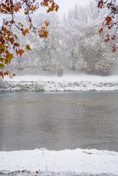 snowfall in the late autumn. river bank in snow. embankment of the linden alley in uzhgorod
