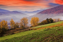 rural landscape at dawn in autumn. mountainous scenery in fall colors. trees, fields and pastures on the hill in misty weather
