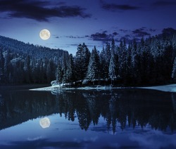 lake near the pine forest in mountains at night in full moon light