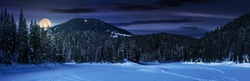 snowy meadow in spruce forest at night in full moon light. location lake Synevyr Ukraine, frozen in winter. beautiful nature panoramic landscape in Carpathian mountains