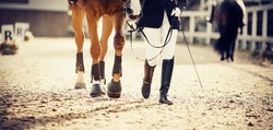Feet sports horse and rider after the competition. Equestrian sport. Dressage of horses in the arena.