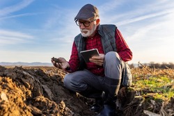 Mature farmer checking clod of earth in field in autumn time
