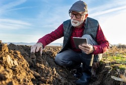 Mature farmer checking clod of earth in field in autumn time