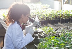 Young biologist looking at microscope with seedlings around her in greenhouse. Microbiology, biotechnology and bioengineering concept