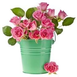 pink rose bouquet in a green bucket isolated on white background