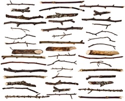 Collection set of dry wood branches isolated on a white background 