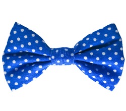 Blue bow close up on white isolated on white background 