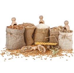 Corn kernel seed meal and grains in bags with wooden scoop isolated on a white background 