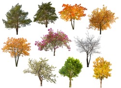 set of ten trees isolated on white background