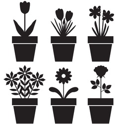 Set of silhouettes of flowers in pots