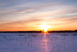 Winter landscape. Composition of nature with sunset