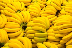 Fresh banana yellow background in the fruit market.