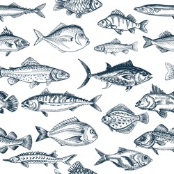 Vector illustration sketch - fish pattern