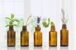 Brown Bottles of essential oil with fresh herbs