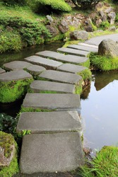 Mossy stepping stones in water