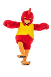 Man in a red chicken costume,full body isolated on white.,various pose,Perfect for mascot.