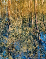 Impressionistic reflection of trees, branches and leaves in lake water. 