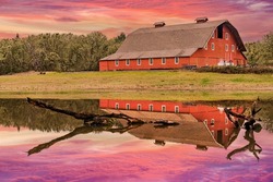 Old Red Rural Wooden Barn with White Windows and Doors, Pond Water Reflection and Beautiful Sunset Sky.