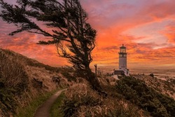 Coastal Lighthouse, wind swept tree and beautiful, colorful sunset sky.
