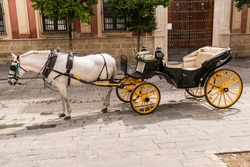 Horse Drawn Carriage 