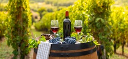Pouring red wine into the glass, Barrel outdoor in Bordeaux Vineyard, France