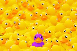 Unique purple toy duck among many yellow ones. Standing out from crowd, individuality and difference concept