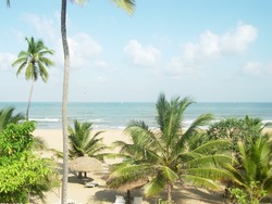 A tropical beach in srilanka