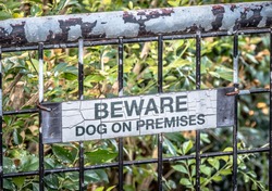 Very cracked sign hanging on peeling wire gate BEWARE DOG ON PREMISES on front of green leaves and branches