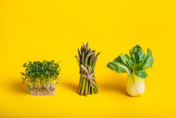 Green healthy food on yellow background. Pak Choi, asparagus and fresh sprouts of Water Cress salad. Vegetarian and vegan diet. Veganism. Sustainable lifestyle, good eats, plantbased foods. Copy space
