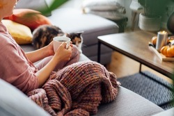 Close up woman in plaid holding cup of tea or coffee, watching movie, TV with multicolored cat on the sofa at home, decorated for fall holidays. Cozy and comfortable autumn concept. Selective focus.