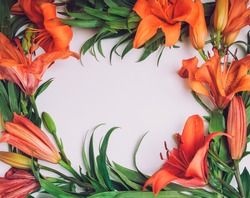 Flowers composition. Wreath frame made of orange lily flowers on white background. Art, exotic, summer concept. Top view, flat lay. Selective focus, space for text