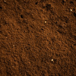 soil dirt texture with some fine grain in it