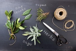 Sage, Thyme and bay leaves on blackboard 