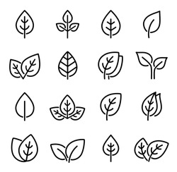 eco set of black line leaf icons on white background