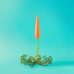 Carrot rocket launch on pastel sky blue background. Easter minimal concept.
