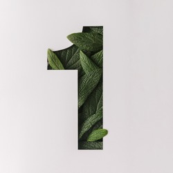 Number one shape cutout with green leaves. Nature concept. Flat lay.