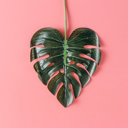 Tropical leaf in shape of a heart. Mothers day love concept. Flat lay.