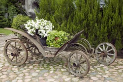 Old wooden wagon filled with flowers, nature concept