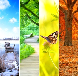 four seasons collage, several images of beautiful natural landscapes at different time of the year - winter spring, summer, autumn, planet earth life cycle concept
