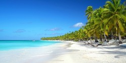 panorama of a beautiful beach at the caribbean sea, isla Saona