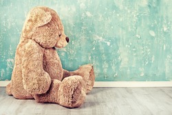 Teddy Bear toy alone on wood in front mint green background 