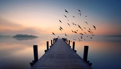wooden pier and some flying birds on lake in summer morning