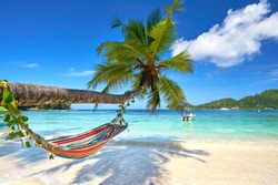 Romantic cozy hammock in the shadow of coconut palm tree at tropical paradise ocean beach in bright sunny summer day - vacation background                                