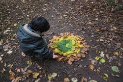 Child creating land art with multicolored autumn leaves in the forest. Creative children activity. Forest school.