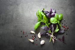 Basil leaves, garlic, pepper at dark slate background. Fresh herbs