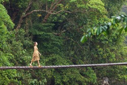 young woman walking on suspended wooden bridge in jungle, Thailand