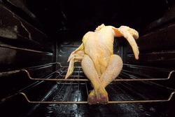 This special gmo chicken doesn't want to be baked and sit up for a resistance in the dirty oven